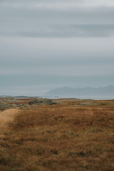 Rust-coloured autumn grassland with moss-covered rock outcrops running down to a pale grey bay, with a faint mountain ridge on the far shore under flat overcast sky