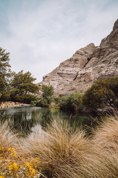 A green pond edged with tall dry grasses and cottonwood trees, backed by a pale, steeply tilted rock ridge under an overcast sky