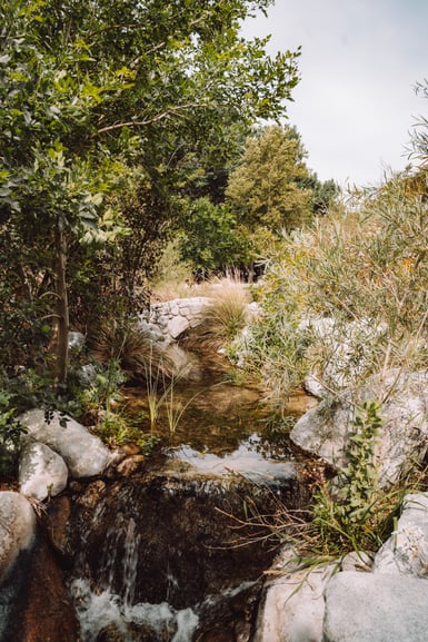 A narrow shallow stream runs between boulders and grasses toward the camera, spilling over a dark rock ledge into a small waterfall, with a low stacked-stone wall and leafy trees behind under a pale sky