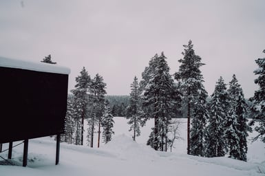 A dark timber building raised on posts with snow piled on its roof stands at left, facing a snow-covered clearing edged by spruce and pine under a pale grey sky