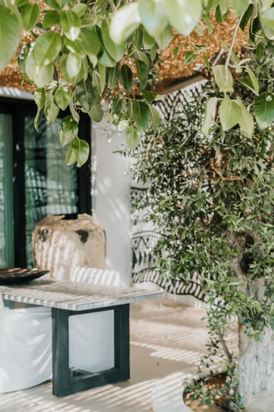 A whitewashed terrace shaded by a reed canopy and broad-leaved branches, with a slatted wooden table, a pale stone jar, striped cushions and an olive tree rising from the paving